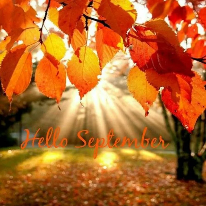 September